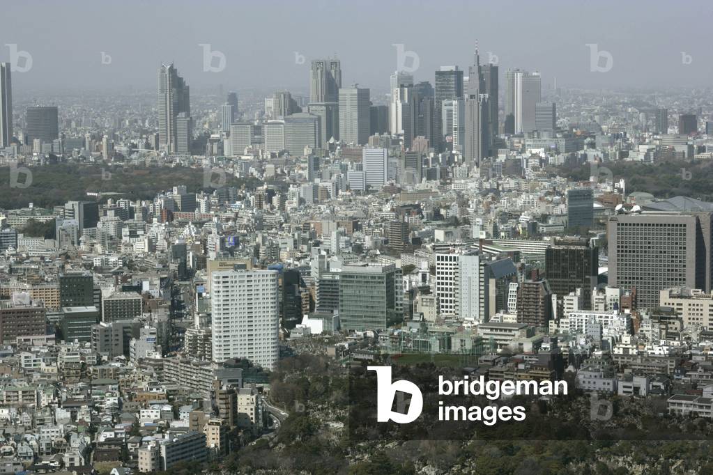 Panoramic view of Tokyo (Japan).