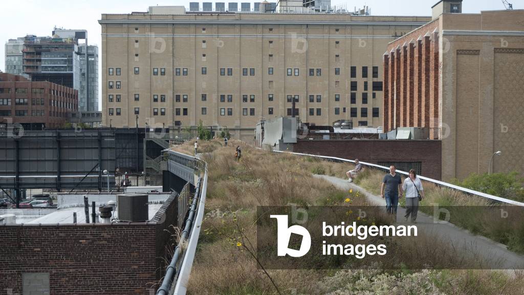 The promenade planted on the High Line in New York (New York), United States (United States). Photography 26/09/10