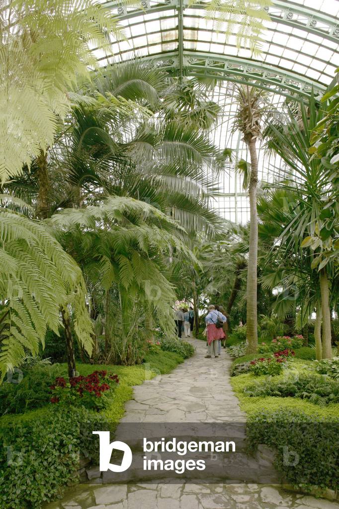 The royal greenhouses of Laeken in Belgium. Achievement 1873. In the 19th century, glass and metal, as new building materials, allowed the construction of a new type of building: the greenhouse. King Leopold II (1835-1909) entrusted the architect Alphonse Balat (1819-1895) with the construction of an ideal glass palace. Open to the public three weeks a year, the Royal Greenhouses of Laeken house an exceptional collection of plants, some dating back to Leopold II. Photography 30/04/06.