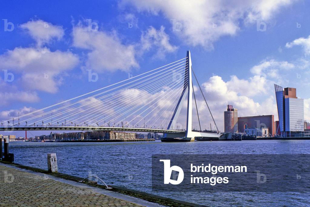 The Erasmus bridge in Rotterdam (Netherlands). Construction 1990-1996, Arcchitecte Van Berkel and Bos Architecten.