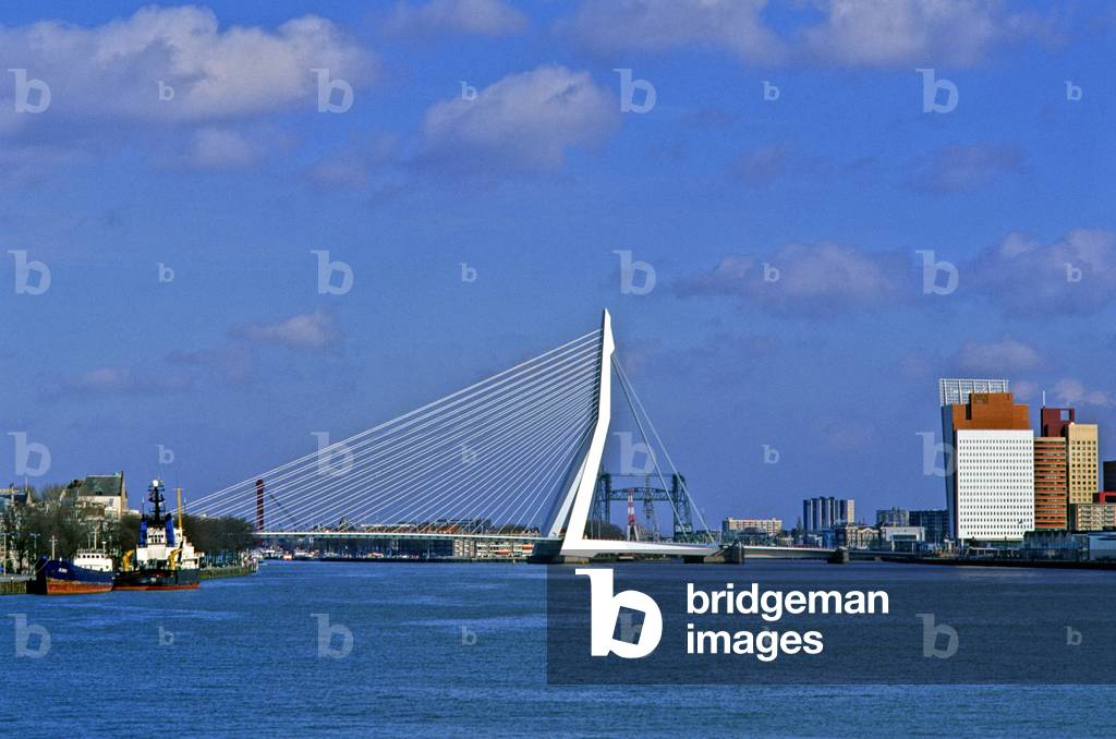 The Erasmus bridge in Rotterdam (Netherlands). Construction 1990-1996, Arcchitecte Van Berkel and Bos Architecten.