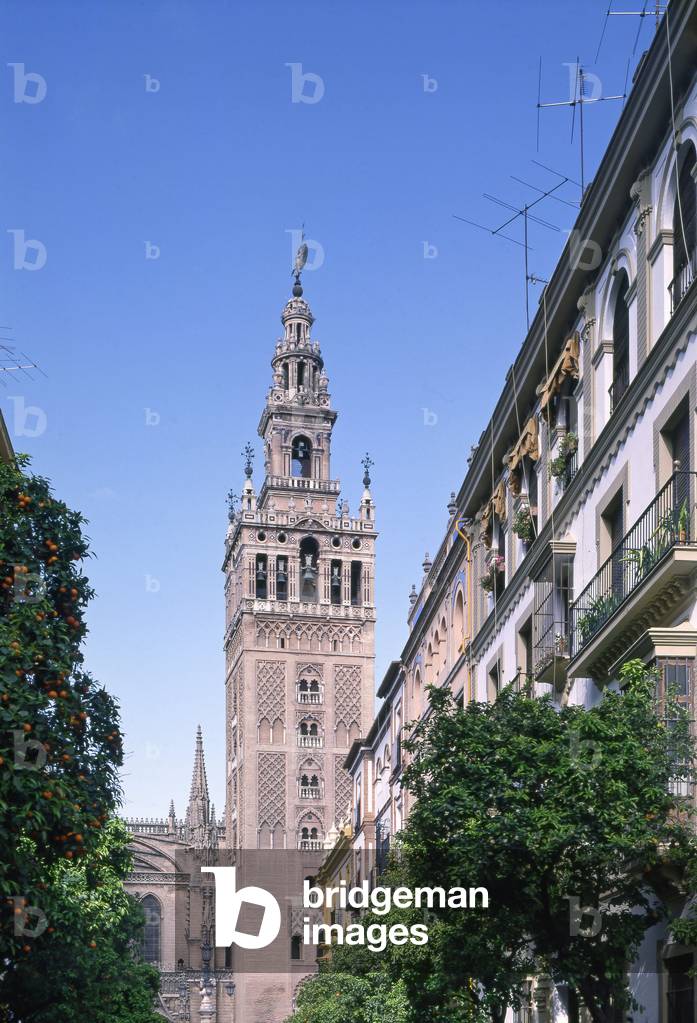 La Giralda, Cathedrale de Seville (Spain).