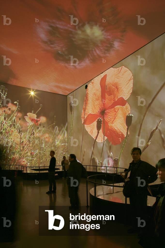 The Immersive Theatre in the French Pavilion of the Aichi World Exposition in Japan, 2005. In a virtual cube of eighteen meters of arete whose faces are projection surfaces, the viewer is wrapped for fifteen minutes in high definition images made by Andy Goldsworthy. Bruno Badiche is the designer and director of the immersive theatre.