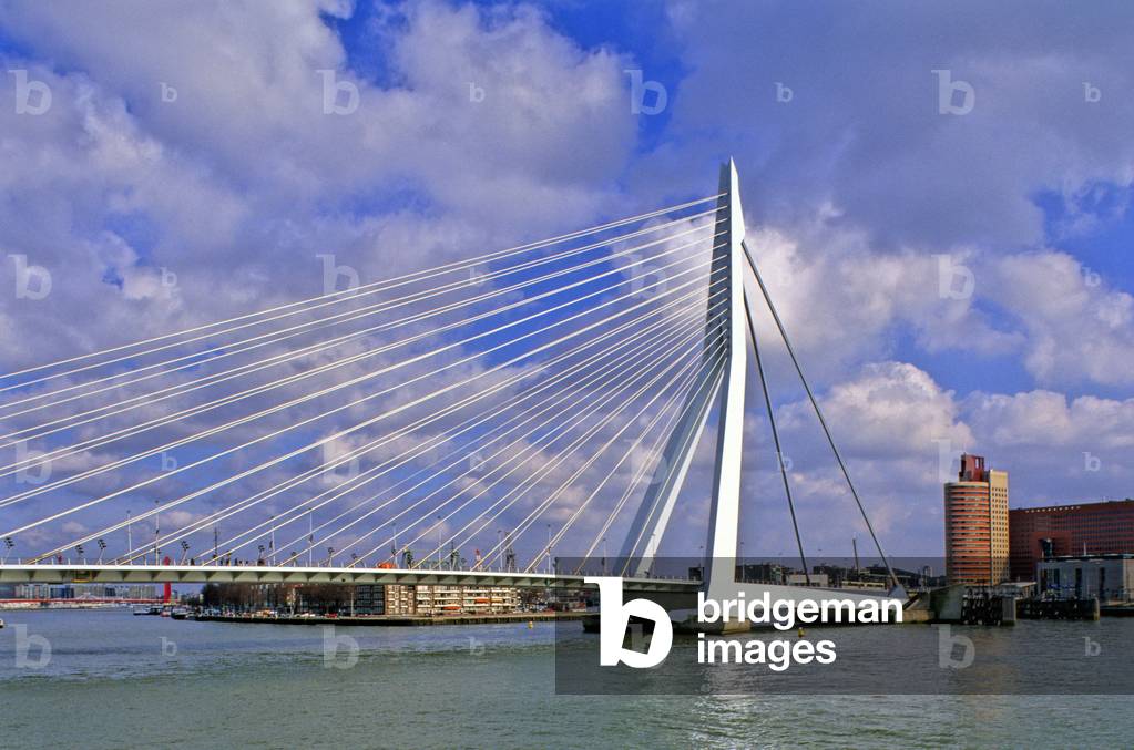 The Erasmus bridge in Rotterdam (Netherlands). Construction 1990-1996, Arcchitecte Van Berkel and Bos Architecten.
