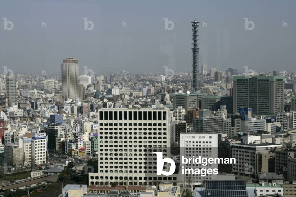 Panoramic view of Tokyo (Japan).