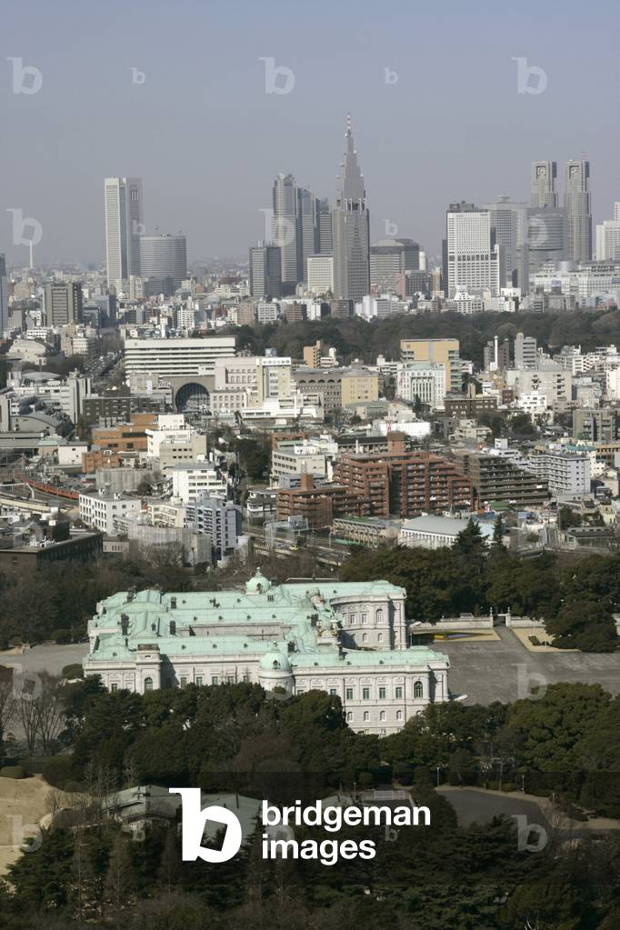Panoramic view of Tokyo (Japan).