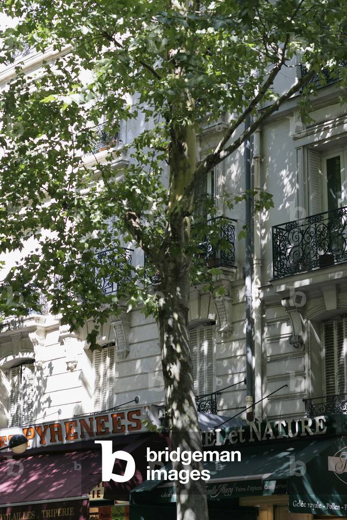 Facades d'immeubles rue des Pyrenees in Paris 20th. Photography 26/08/07.