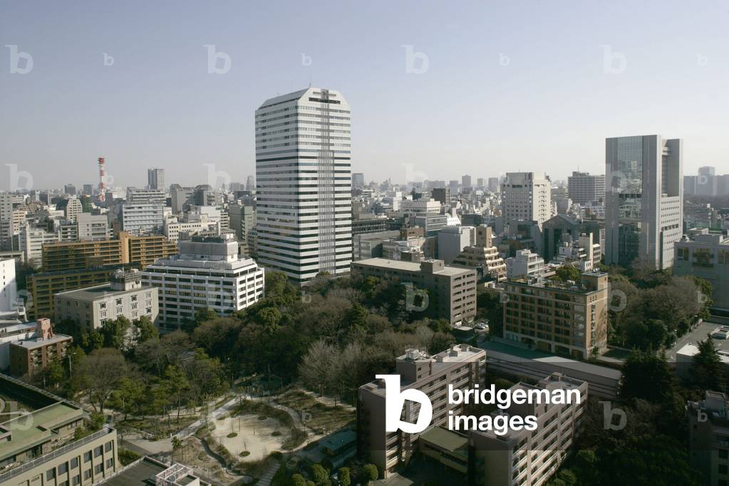 Panoramic view of Tokyo (Japan).