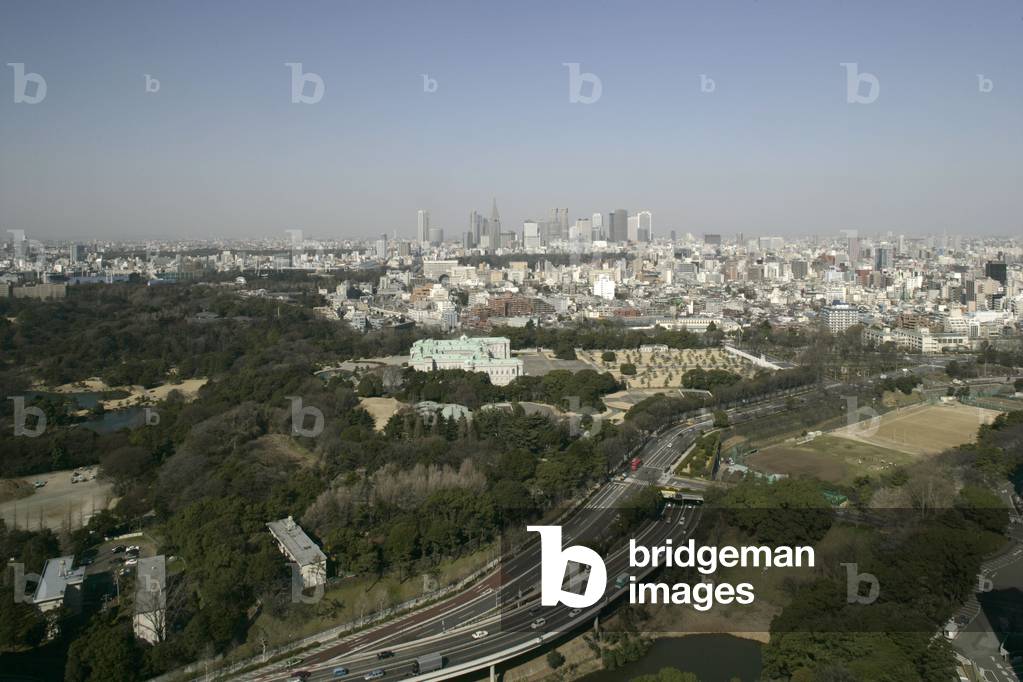 Panoramic view of Tokyo (Japan).