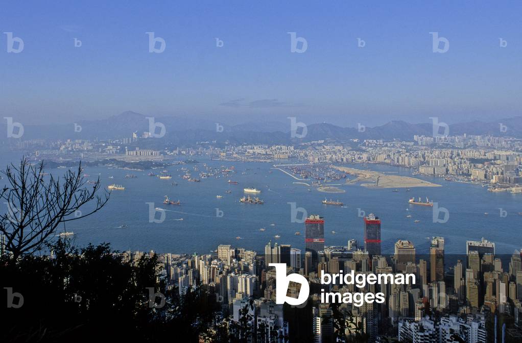 Panoramic view of Hong Kong (China).