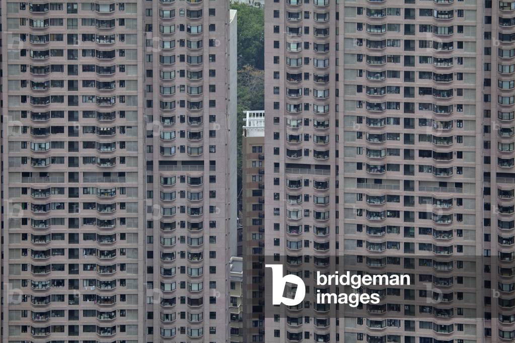 Hong Kong City Hong Kong - China -