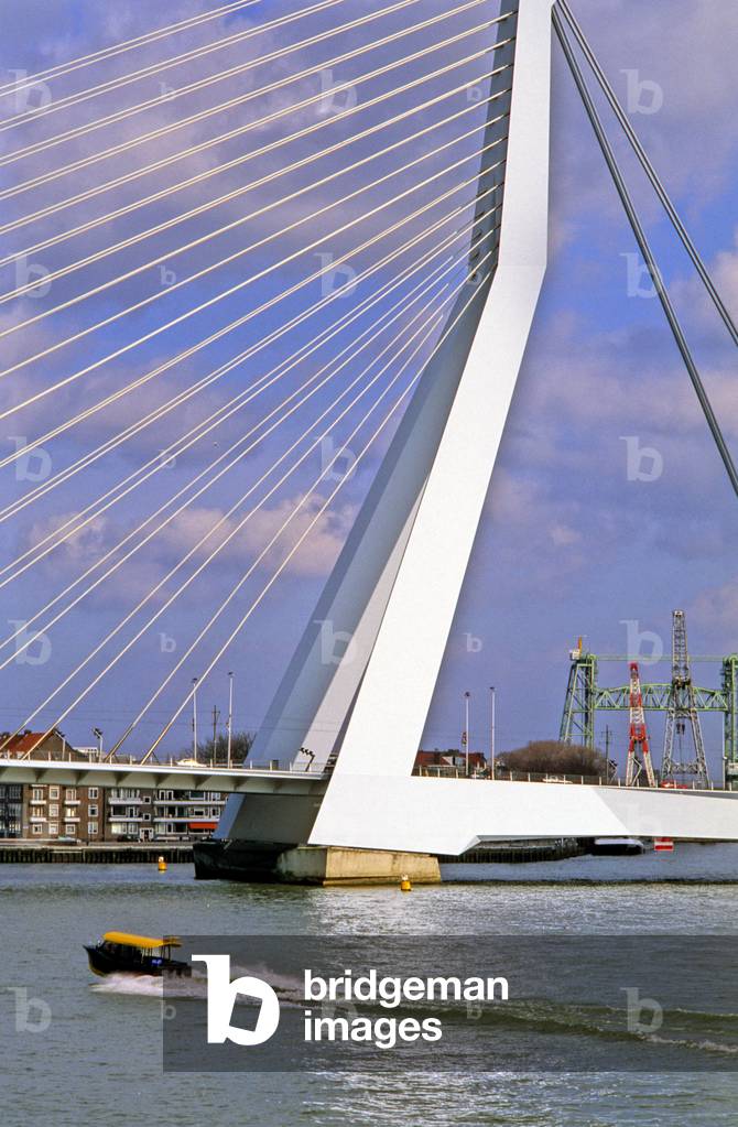 The Erasmus bridge in Rotterdam (Netherlands). Construction 1990-1996, Arcchitecte Van Berkel and Bos Architecten.