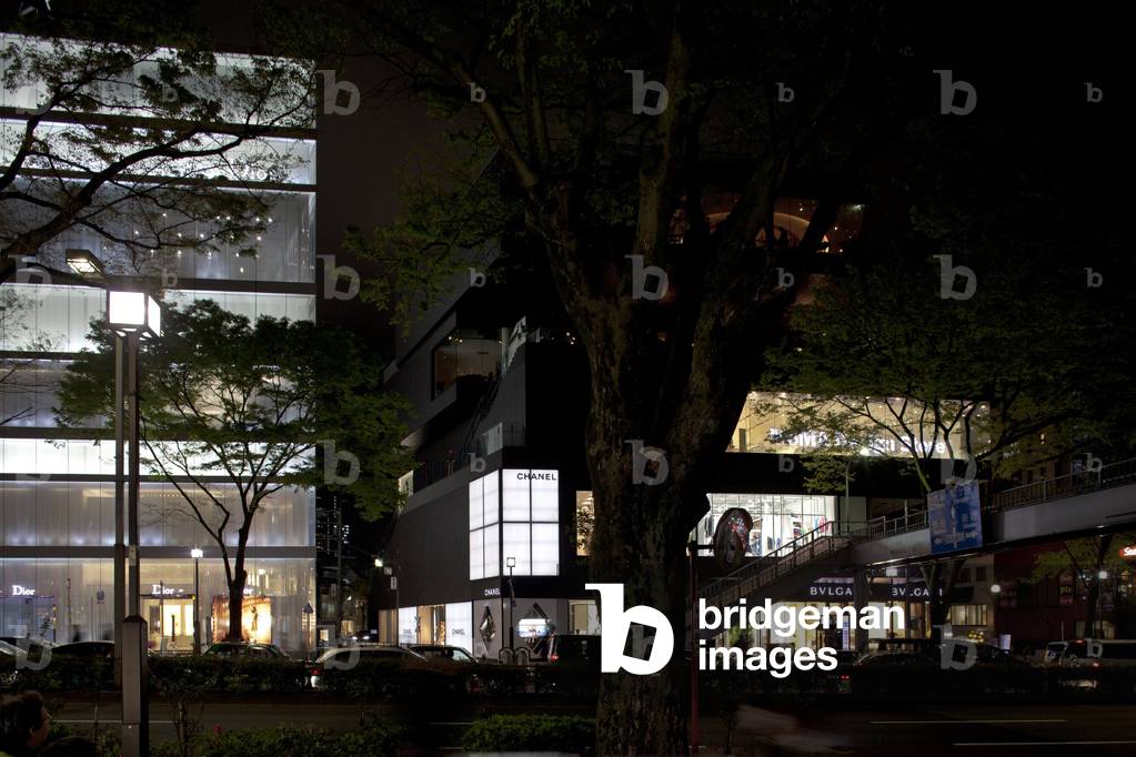Omotesando Avenue in Shibuya District in Tokyo, Japan Omotesando-Shibuya-Tokyo-Japan-