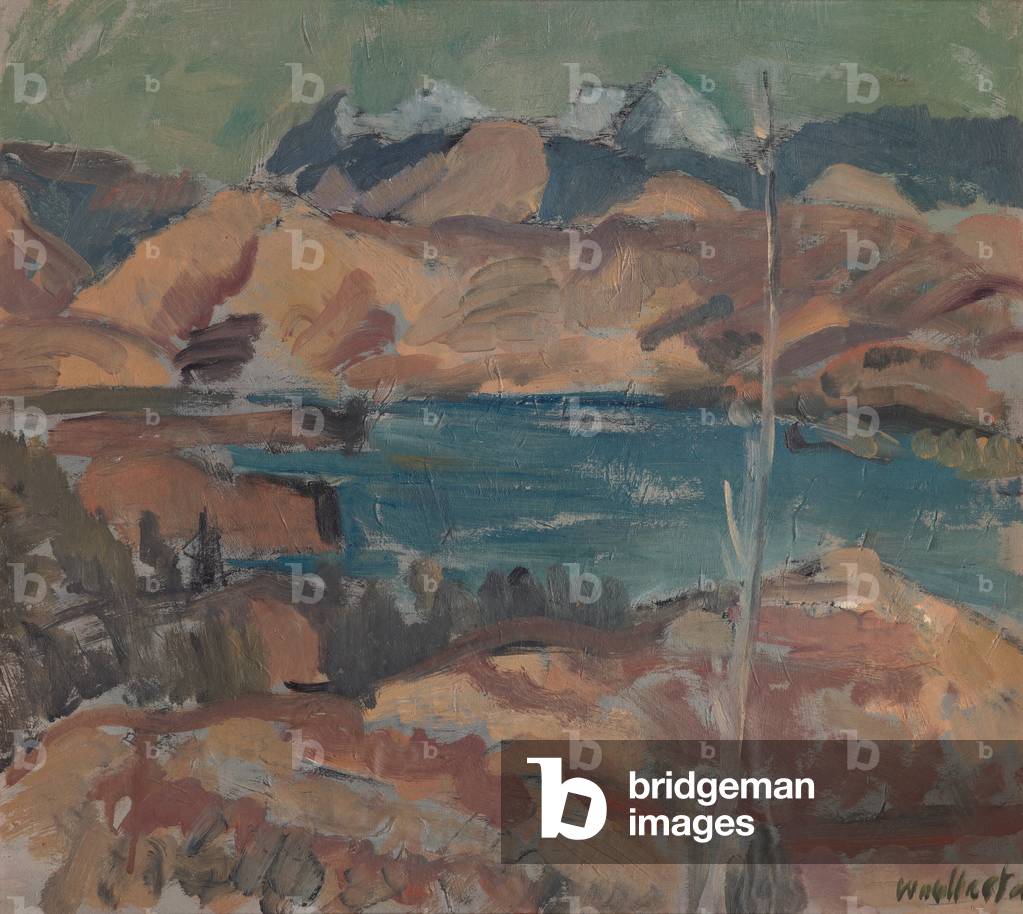 View towards Mount Richmond, Nelson, c.1938 (oil on paper on cardboard)