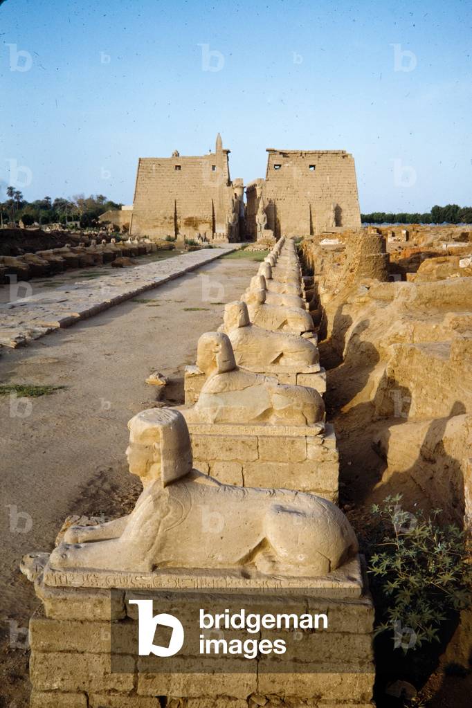 Ancient Egypt Series: Avenue of sphinxes, 1968 (photo)