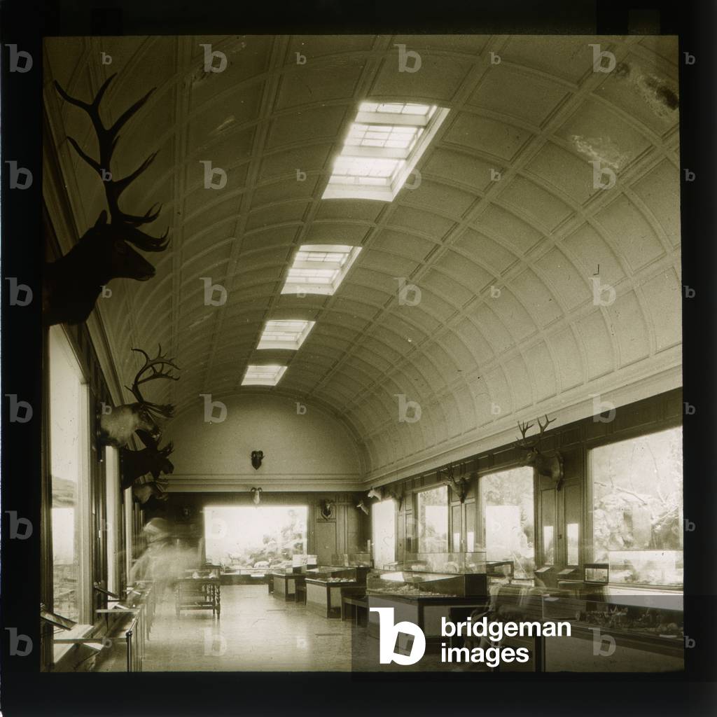 Science Museum (lantern slide) 20th by Samuel Hurst Seager