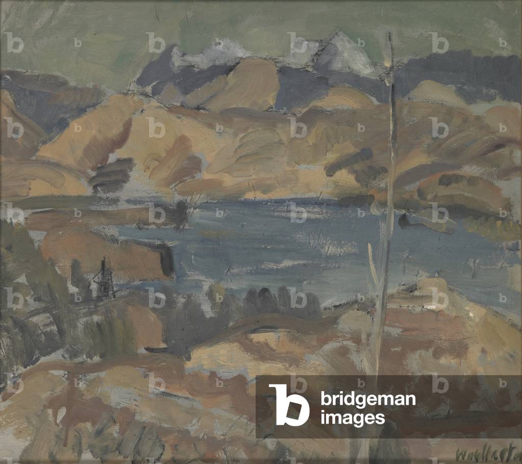 Bild von Gemälde "Blick in Richtung Mount Richmond", 20. Jahrhundert von M. T. Woollaston