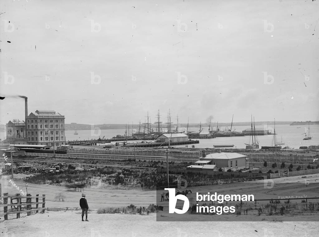 Queen Street Wharf, Auckland, c.1869-1900 (silver gelatin print) 
