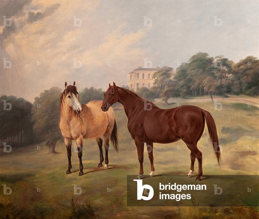 Bank Hall (oil on canvas)
