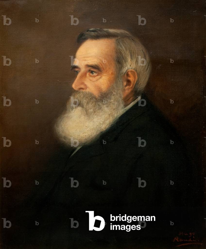 Dr Brown (oil on canvas)