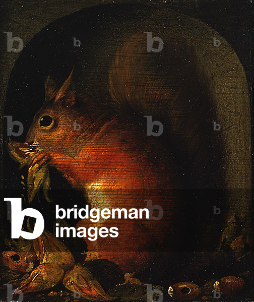 Red Squirrel in a Niche with Nuts, 17th-18th century (oil on panel)
