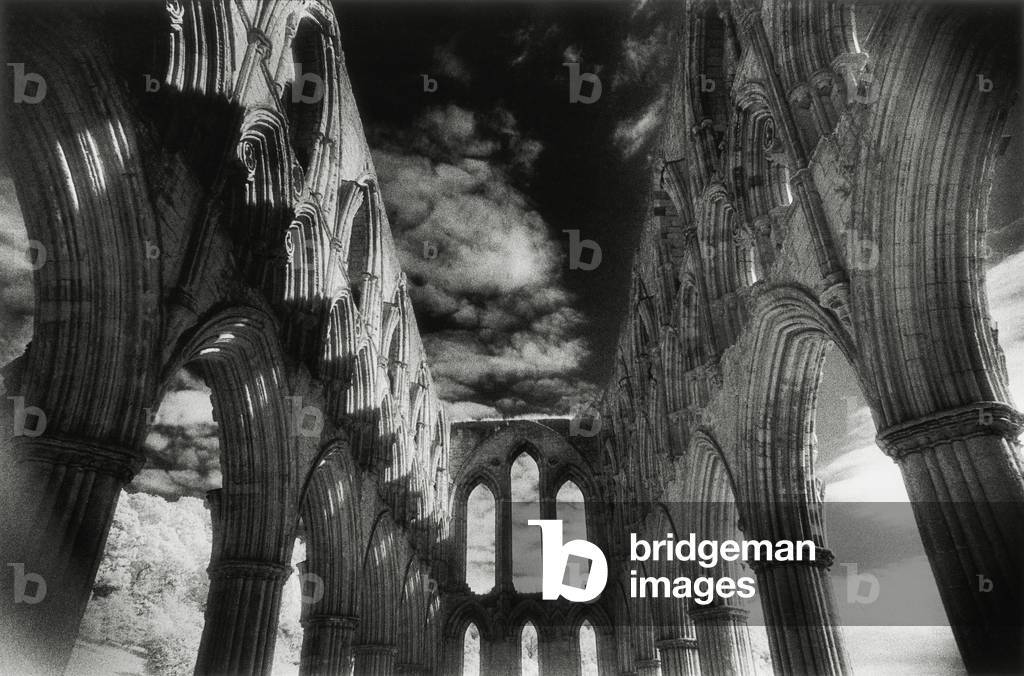 Rievaulx Abbey, Yorkshire, England (b/w photo)