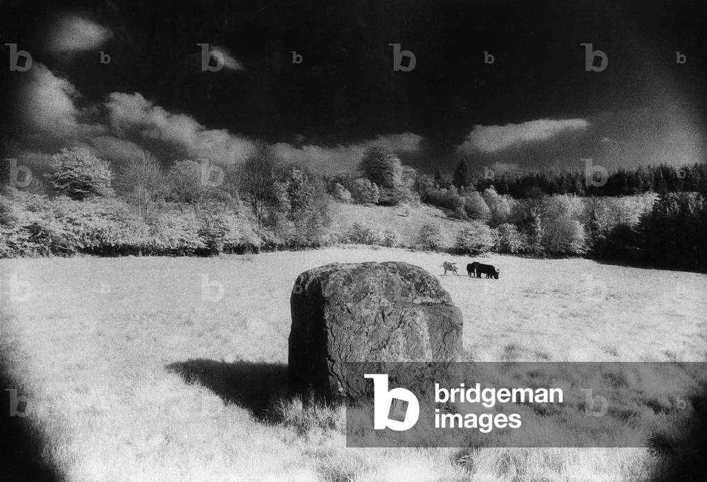 'The Fiddler's Stone', County Offaly, Ireland (b/w photo)