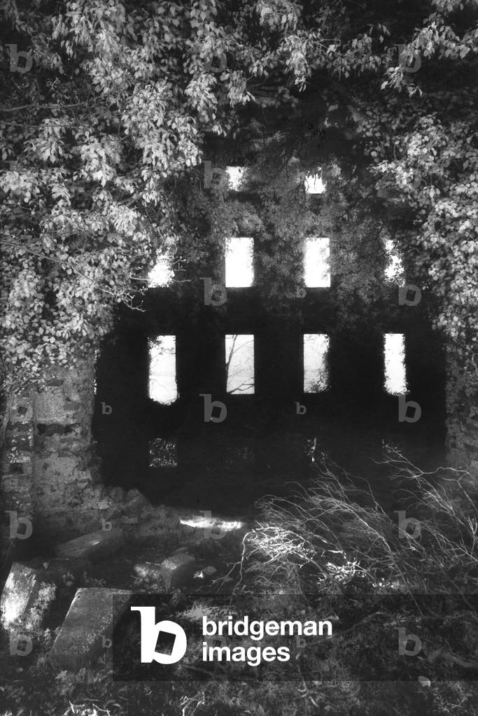 Castle Strange, County Roscommon, Ireland (b/w photo)
