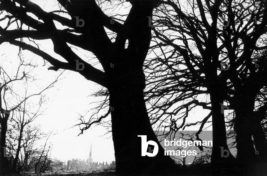 Church, Hampstead Heath, London, England (b/w photo)