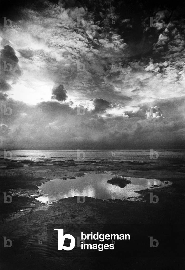 The Causeway, Holy Island, Northumberland (b/w photo)