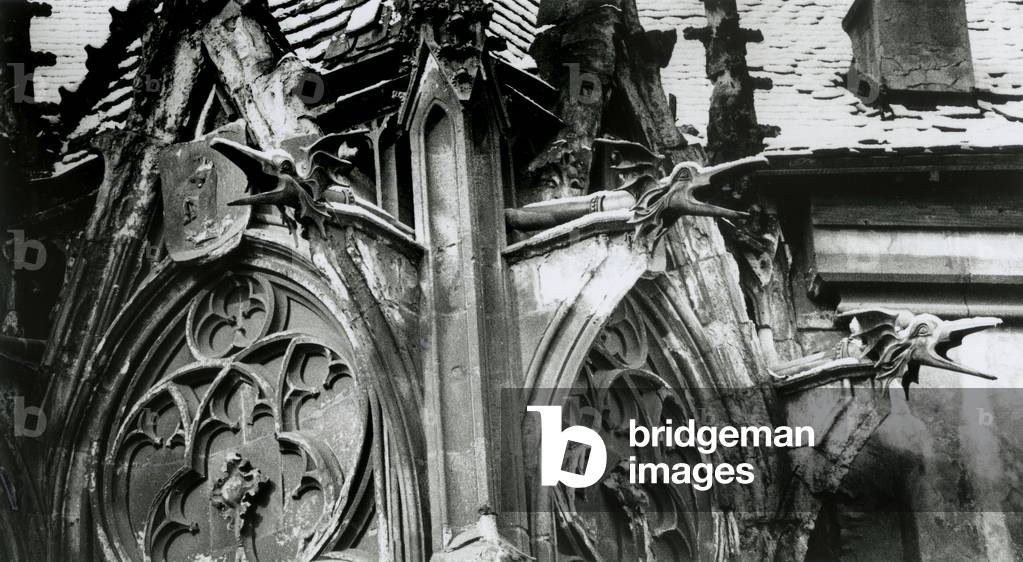 Gargoyles, Corvin Castle, Hunedoara, Transylvania, Romania (b/w photo)