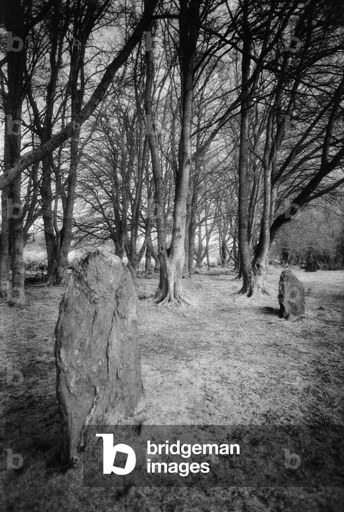 The Stones of Clava, Inverness, Scotland (b/w photo)