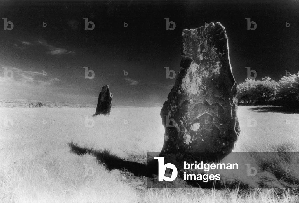 The Timoney Stones, Timoney Park, Roscrea, County Tipperary, Ireland (b/w photo)