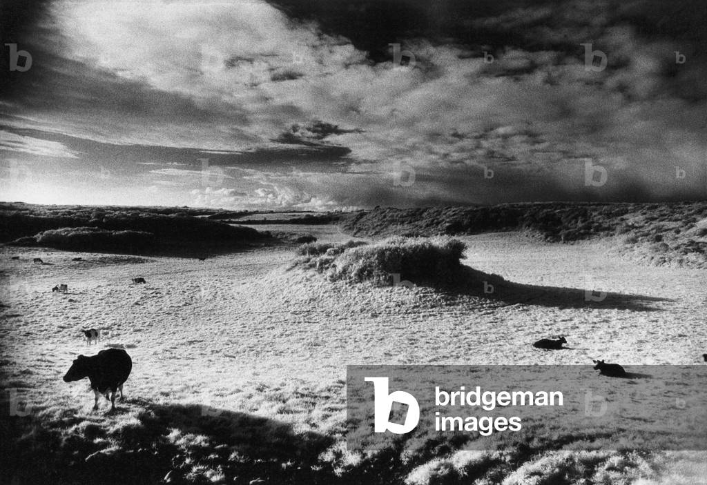 The Burren, County Clare, Ireland (b/w photo)
