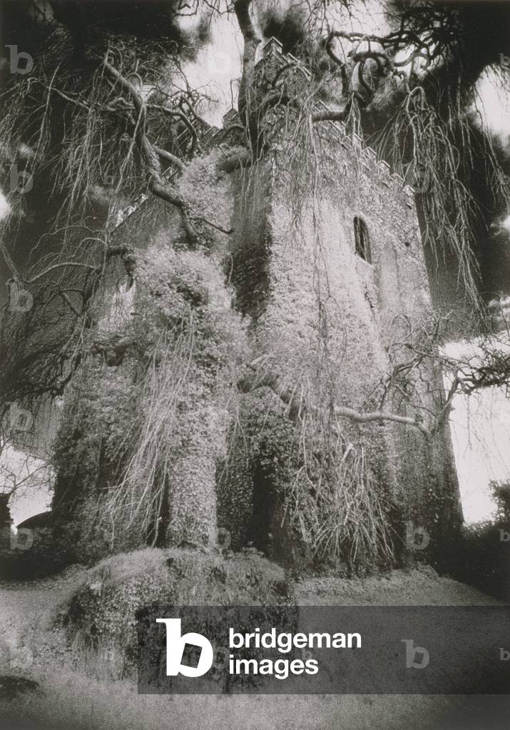 Ballaghmore Castle, County Laois, Eire (b/w photo)