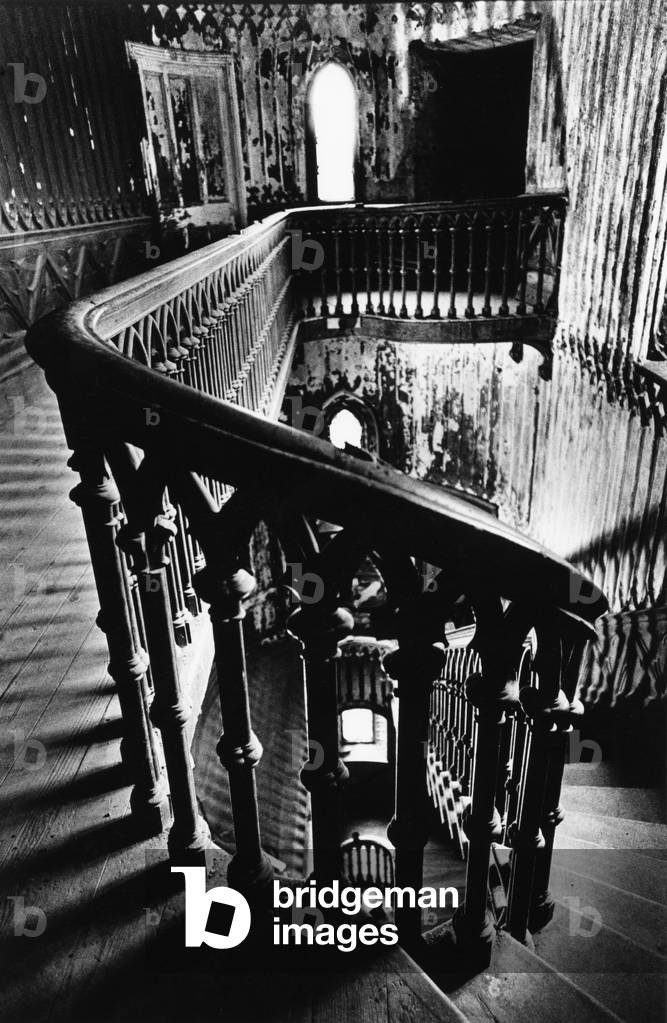 Staircase, Charleville Forest, County Offaly, Ireland (b/w photo)