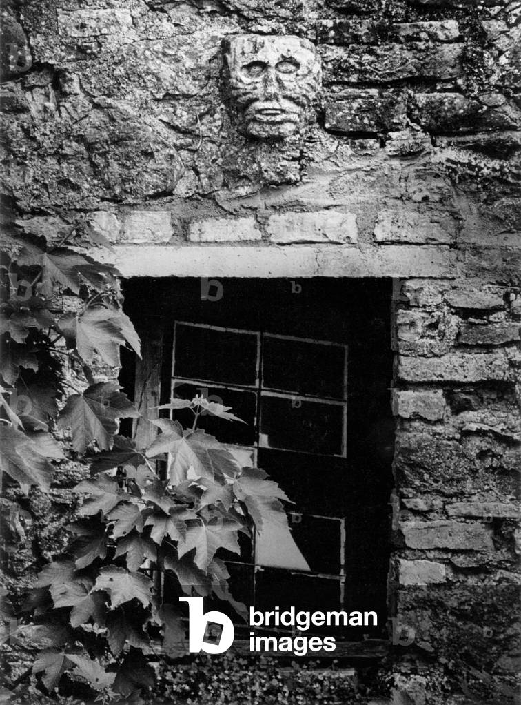 Celtic Head, Ballyboy, County Offaly, Ireland (b/w photo)
