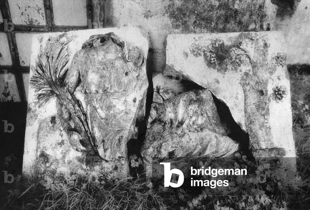 Broken Frieze, Ducketts Grove, County Carlow, Ireland (b/w photo)