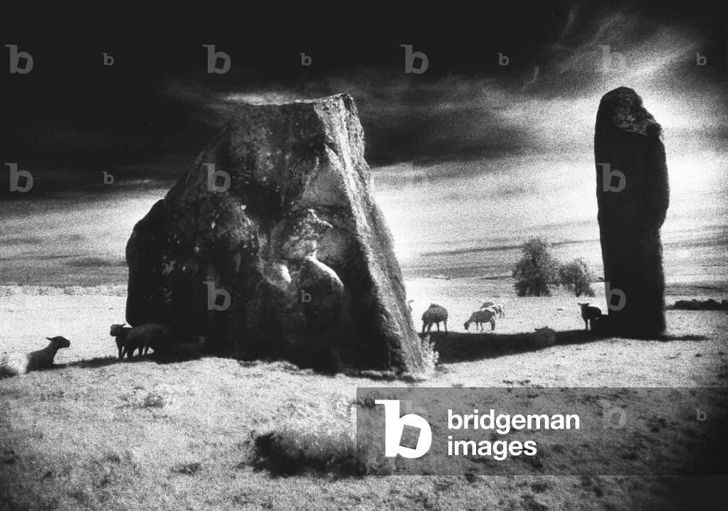 Standing Stones, Avebury, Wiltshire, England (b/w photo)