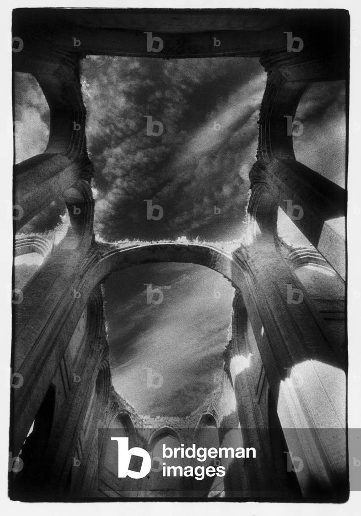 Roof of the Schlosskapelle, Schloss Dargun, Mecklenburg-Vorpommern, Germany (b/w photo)
