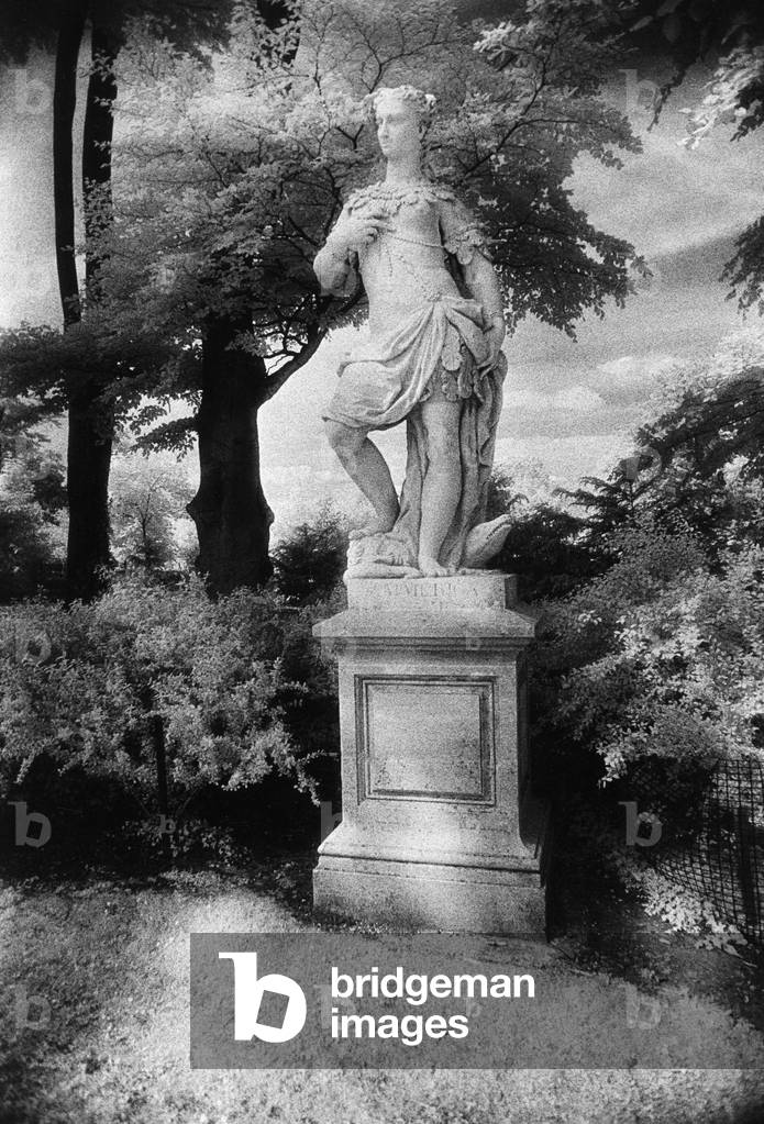 Statue, Waddesdon Manor, Buckinghamshire, England (b/w photo)