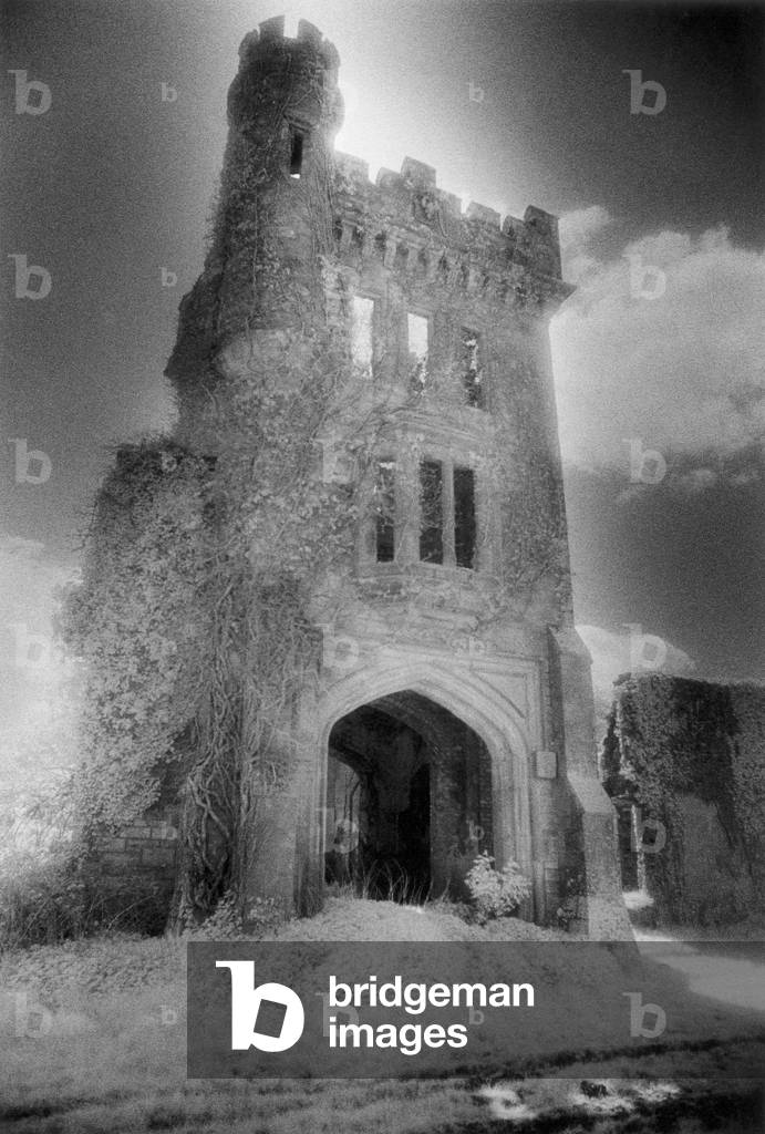 Brittas House, Clonaslee, County Laois, Ireland (b/w photo)