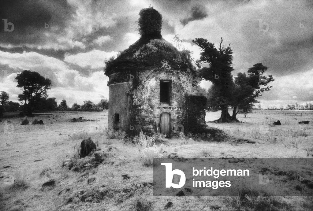 The Ruined Brew-House, Frenchpark House, Frenchpark, County Roscommon, Ireland (b/w photo)