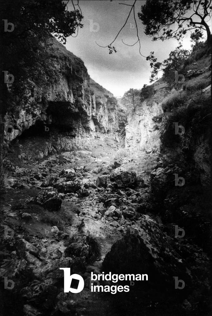 Troller's Gill, Yorkshire, England (b/w photo)