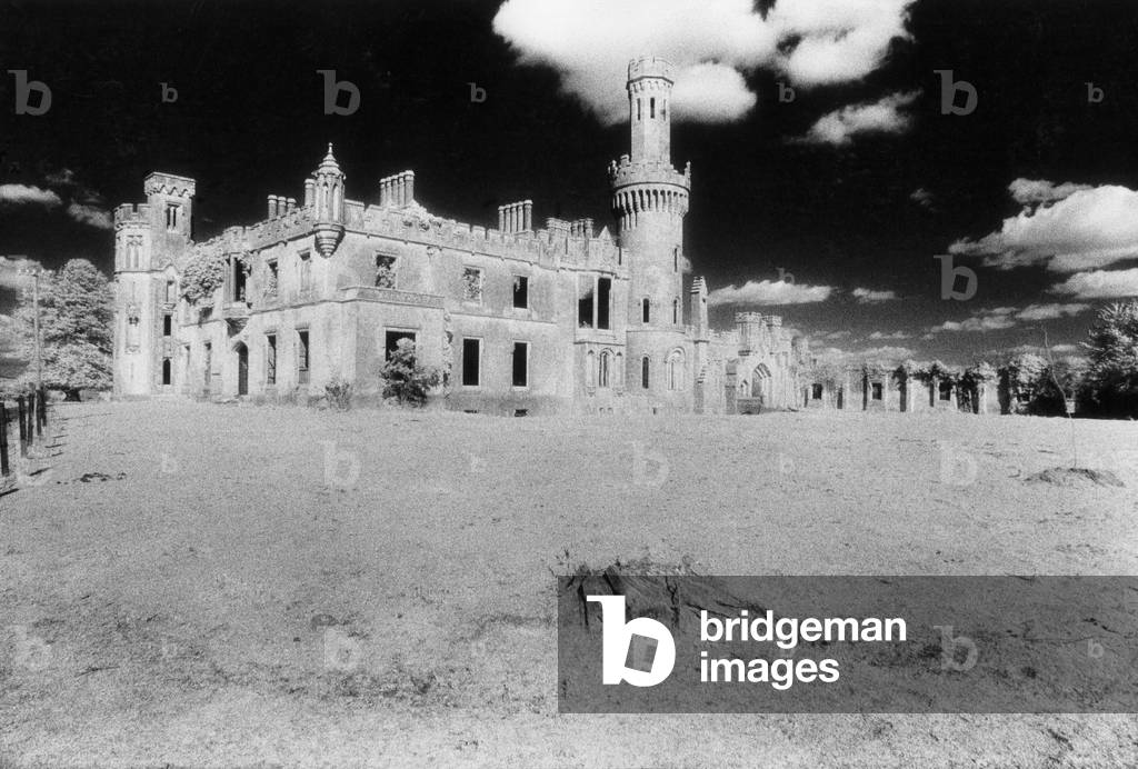 Ducketts Grove, Carlow, County Carlow, Ireland (b/w photo)