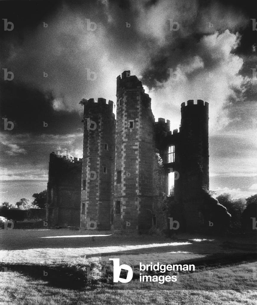 Cowdray Park, Sussex, England (b/w photo)