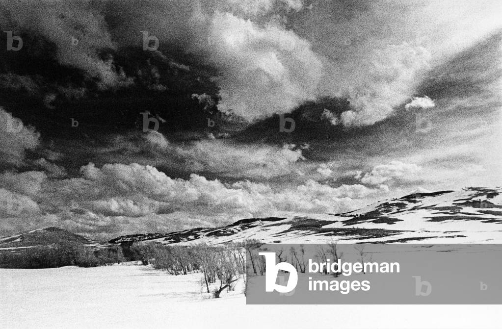 Landscape, Wyoming, USA (b/w photo)
