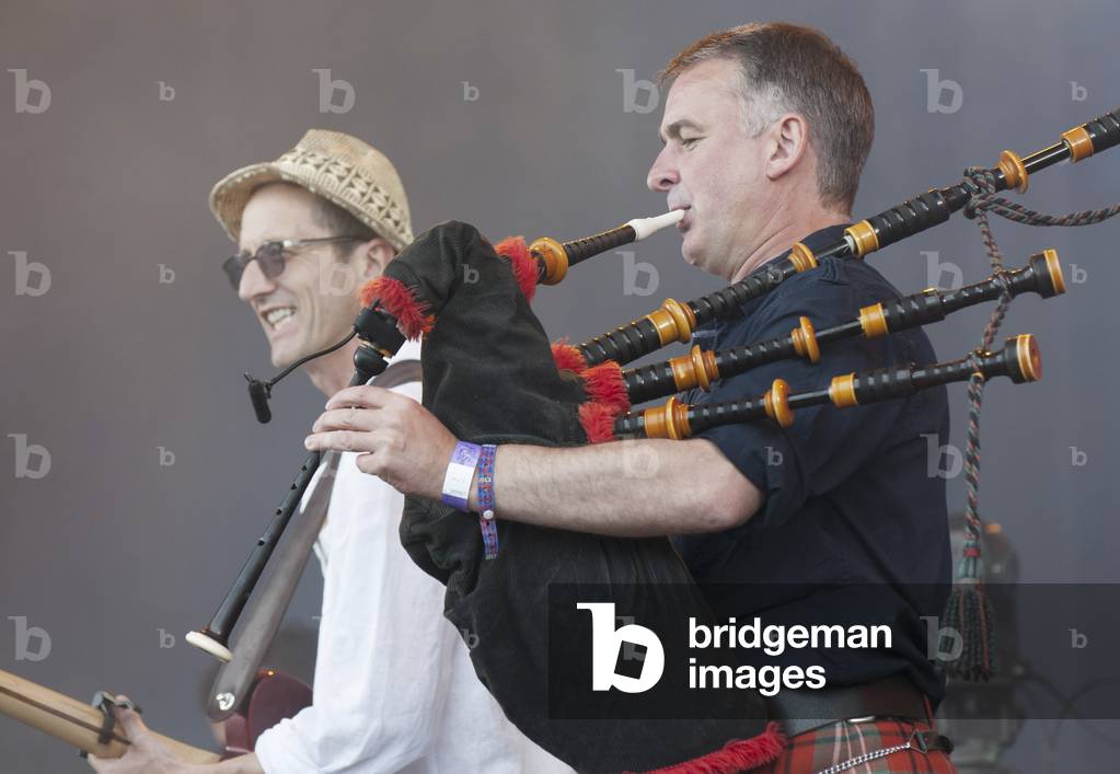 Peatbog Faeries (photo)