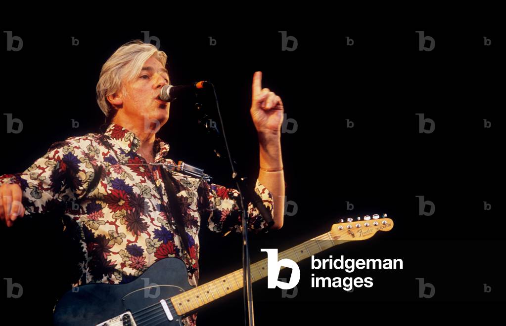Robyn Hitchcock - English (photo)