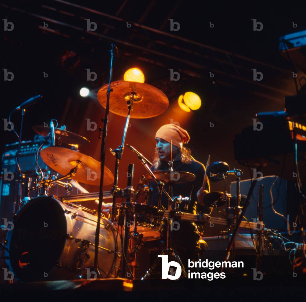 The Bays - drummer (photo)
